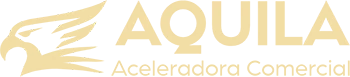 Aquila Aceleradora Comercial